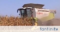 Fantini CORN HEADER